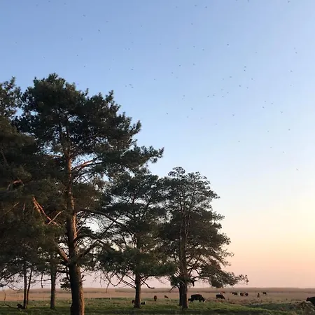 Modern One Bedroom Flat With Sunset Views, Self Check-in